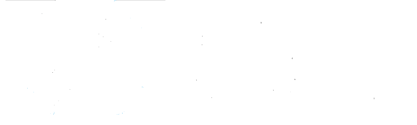 XINGJI